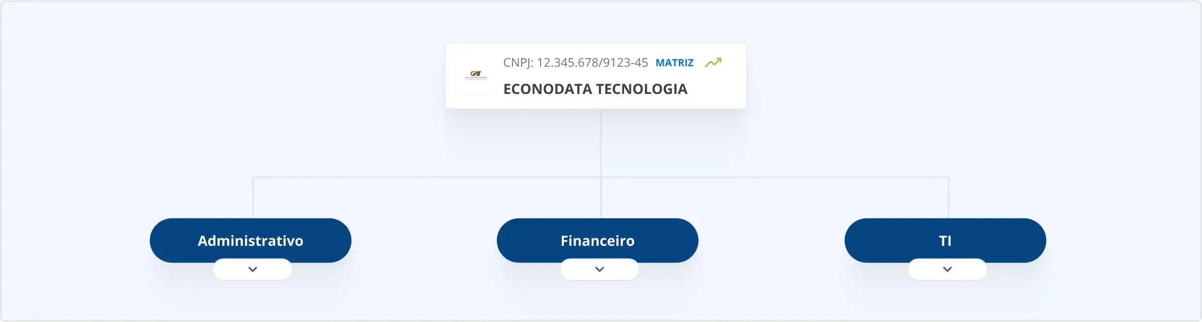 Organograma da Econodata