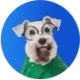 Econodog, o cão farejador de leads da Econodata